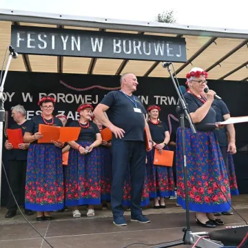 Wakacyjny festyn w Borowej