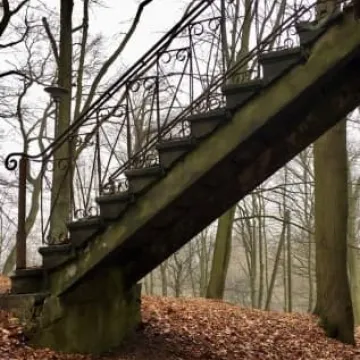 Plener fundacji FotoPozytyw