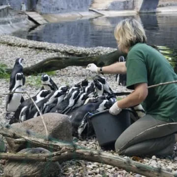 Muzeum Regionalne na wyciecze w Łodzi