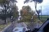 Wiatr łamał drzewa