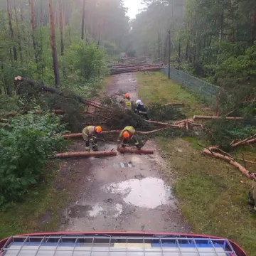 [WIDEO] Potężna nawałnica nad Radomskiem. Strażacy już w akcji