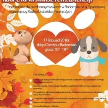 Podaruj seniorowi domek, by na zawsze merdał mu ogonek