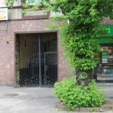 Drzewa na ulicy Reymonta poszły pod topór