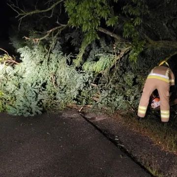 [WIDEO] Potężna nawałnica nad Radomskiem. Strażacy już w akcji