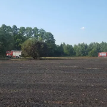 Spłonęło 5 hektarów ścierniska