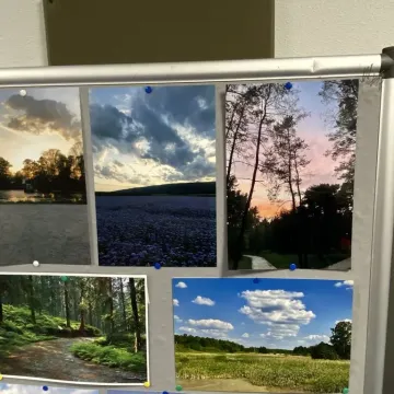 Ekologia, konkursy i rywalizacja. Tak było w ZSDiOŚ