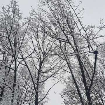 Zima w Parku Świętojańskim w Radomsku. Tak wygląda z lotu ptaka