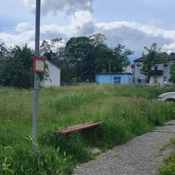 Mieszkańcy ul. Różanej skarżą się na niewykoszoną trawę