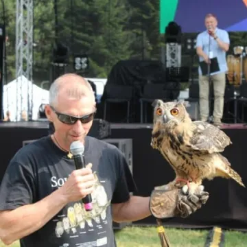 Dni Radomska 2018: Pokazy sokolnika