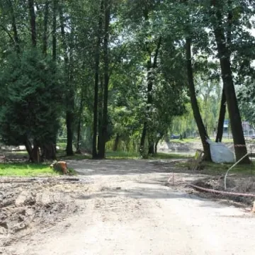 Postęp prac rewaloryzacyjnych w parku Świętojańskim [zdjęcia i film]