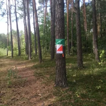 VII edycja Biegu na Orientację „Stop Przemocy”