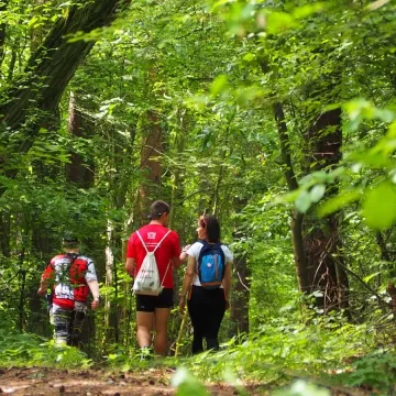 Ścieżka zagadek w „Tajemniczym lesie” pokonana
