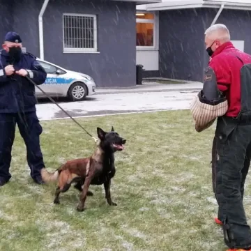 Nowy pies policyjny w szeregach radomszczańskiej komendy