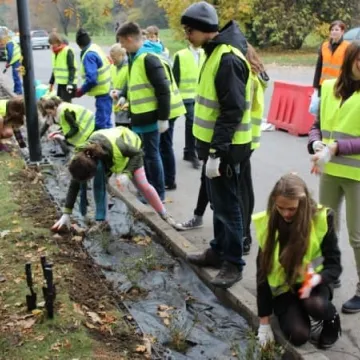 Róże na urodziny Radomska
