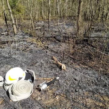 W Myśliwczowie palił się hektar poszycia leśnego