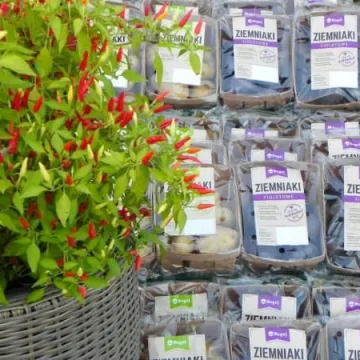 Święto Ziemniaka w Dmeninie