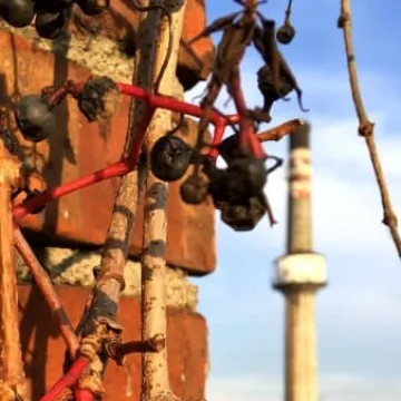 Weekendowe warsztaty plenerowe