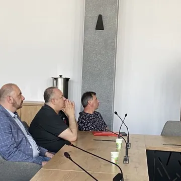 Wojciech Zarzycki: dobra pielęgnacja drzew, to taka, której nie widać