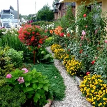 Radomsko w kwiatach i zieleni 