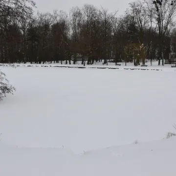 Piotrków Tryb. Przetarg na park Belzacki rozstrzygnięty