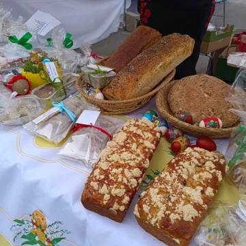 Zapachniało kolorową wiosną na parkingu przed Starostwem Powiatowym w Radomsku