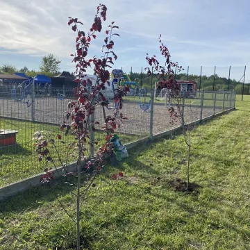 Okrajszów ma swój ekologiczny skwerek. Wielkie otwarcie z piknikiem