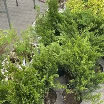 W Radomsku trwa finał mobilnej zbiórki elektroodpadów