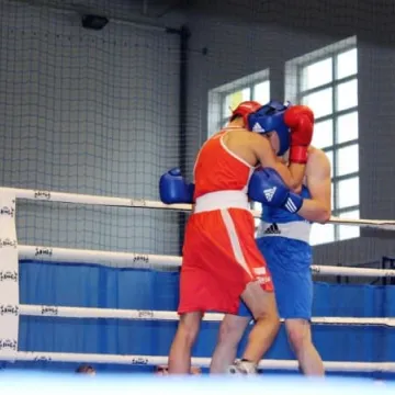 Boks królował w Radomsku