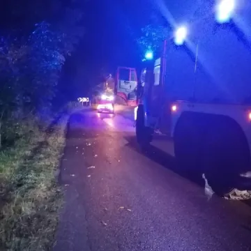 Kierująca BMW 19-latka uderzyła w drzewo. Trafiła do szpitala