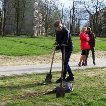 Samorządowcy z Platformy Dialogu sadzili drzewa