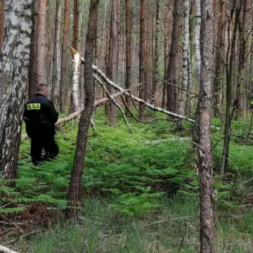 Poszukiwana 27-letnia kobieta została odnaleziona