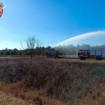 Podpalacz po ugaszeniu spodni i bielizny uciekł do lasu