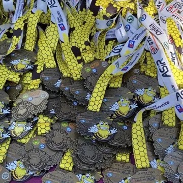 W Gomunicach poszli i pobiegli dla pszczół