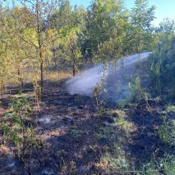 Lasy płoną. W tym roku było już 21 pożarów