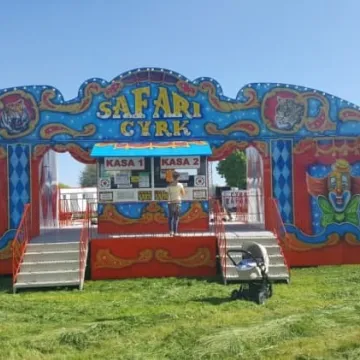 Zgarnij wejściówkę do Cyrku Safari