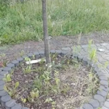 Bałagan na ścieżce do pomnika na Kopcu