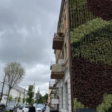 Ogrody wertykalne w Radomsku oficjalnie oddane do użytku