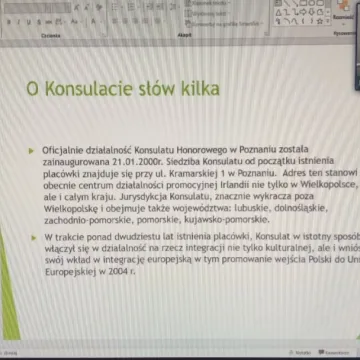 Polska-Irlandia dyplomatycznie