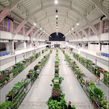 Jesienna edycja Festiwalu Roślin w Radomsku