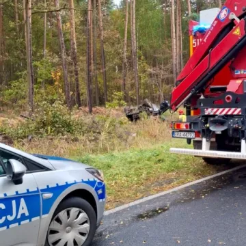 Nietrzeźwi pasażerowie, nadmierna prędkość. Opel wypadł z drogi
