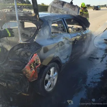 Strażacy gasili płonący samochód na A1. Nikomu nic się nie stało