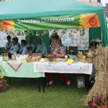 Święto z miodem w roli głównej