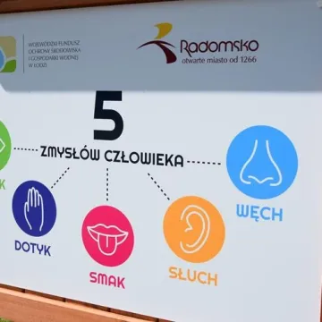 Przy PSP 6 w Radomsku powstał ogród dydaktyczny