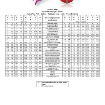 Nowy przewoźnik w gminie Ładzice