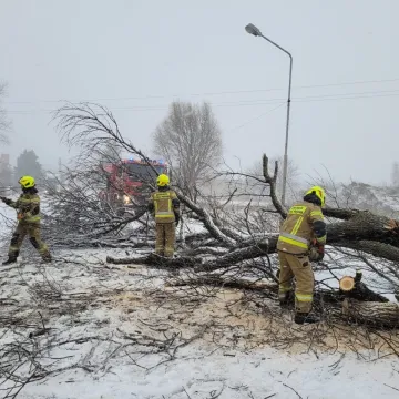 [AKTUALIZACJA] Załamanie pogody w pow. radomszczańskim. Interweniują strażacy