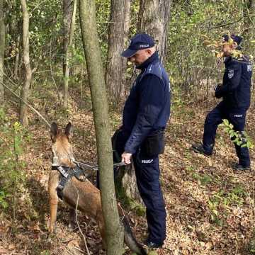 [WIDEO] Manewry klas mundurowych ZSP 1 w Radomsku. Praktyczna lekcja poszukiwania zaginionych