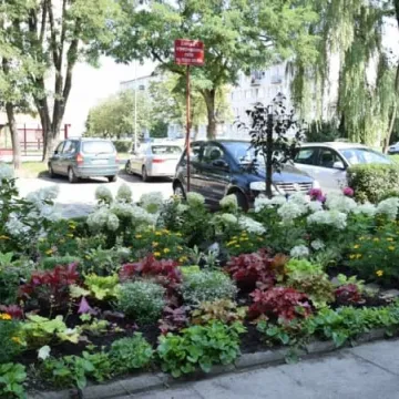 Konkursowe ogrody radomszczan