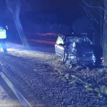 Wypadek w Bloku Dobryszyce, a w samochodzie pijani. Kto kierował?