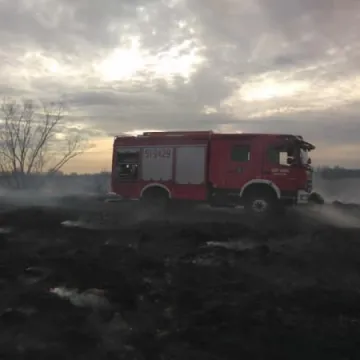 Duży pożar suchych traw w Pławnie