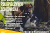 Ekipa Szymona z Radomska zbiera dary dla schroniska dla zwierząt